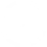 Bayer